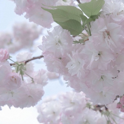 绥江福瑞交流群